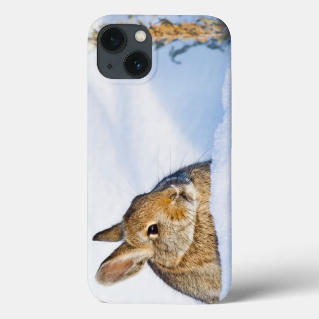 Wyoming, Sublette County, Nuttall's Cottontail Case-Mate iPhone Case (Back)