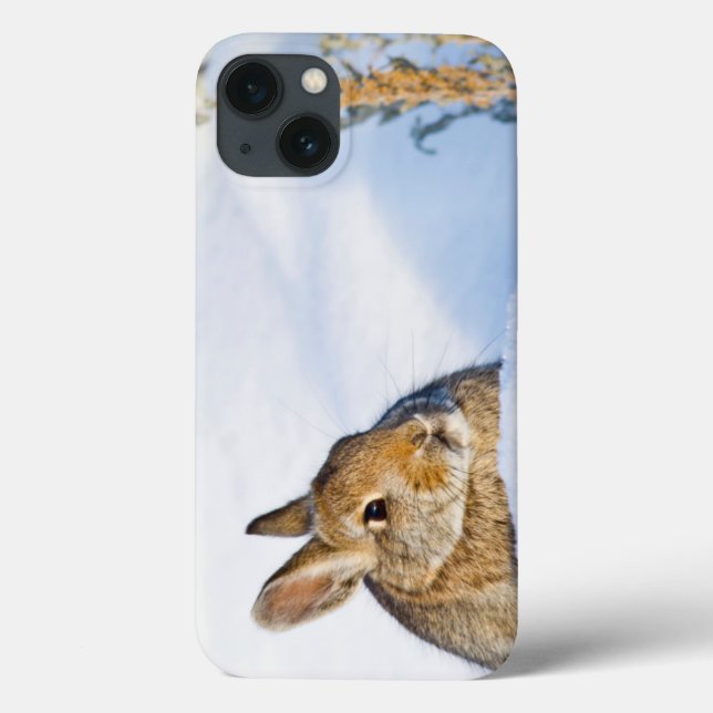 Wyoming, Sublette County, Nuttall's Cottontail Case-Mate iPhone Case (Back)