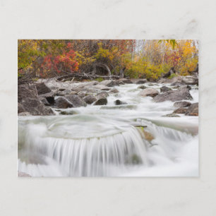 Wyoming, Sublette County, Pine Creek flowing Postcard