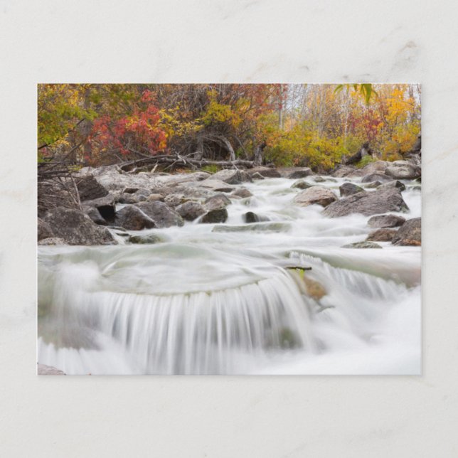 Wyoming, Sublette County, Pine Creek flowing Postcard (Front)