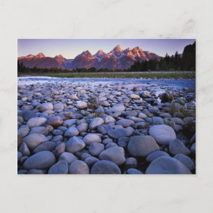 Wyoming, Teton National Park, Snake River Postcard