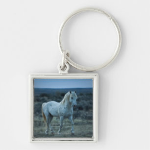 wyoming, united states of america key ring