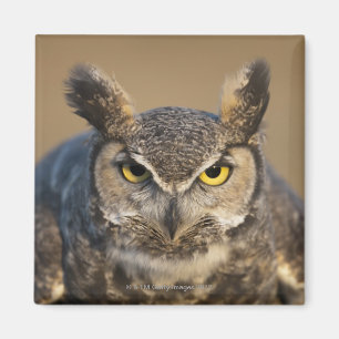 wyoming, usa magnet
