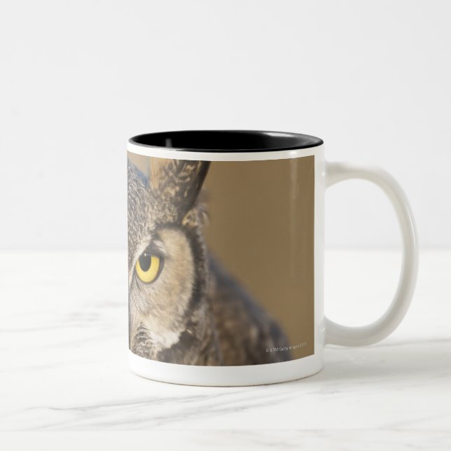 wyoming, usa Two-Tone coffee mug (Right)