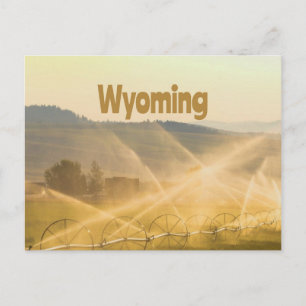 Wyoming Wild West Farm Land Ranch Postcard