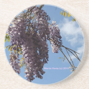 Wysteria - Coaster