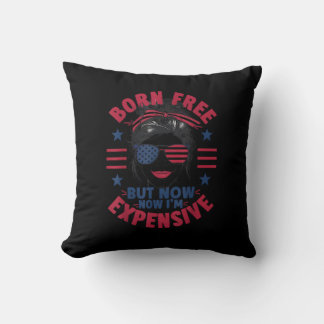 X-Files I Want to Believe Cushion