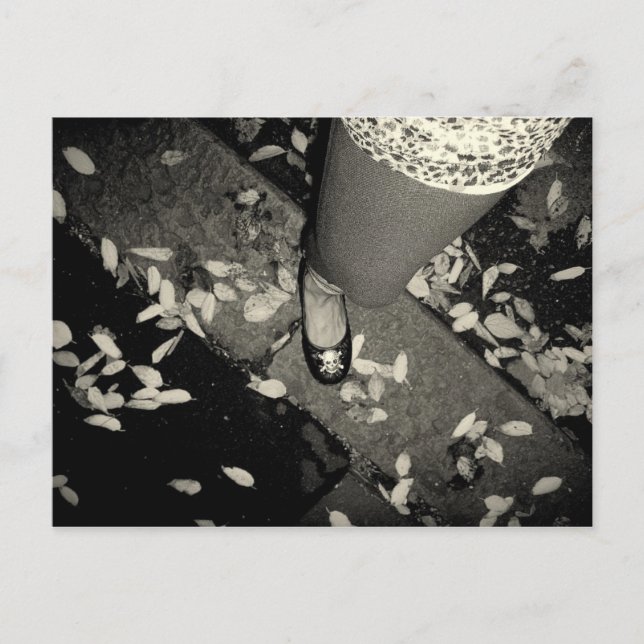 x foot postcard (Front)