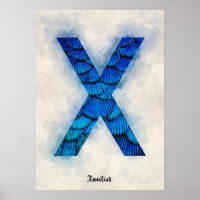 X is For Xantus