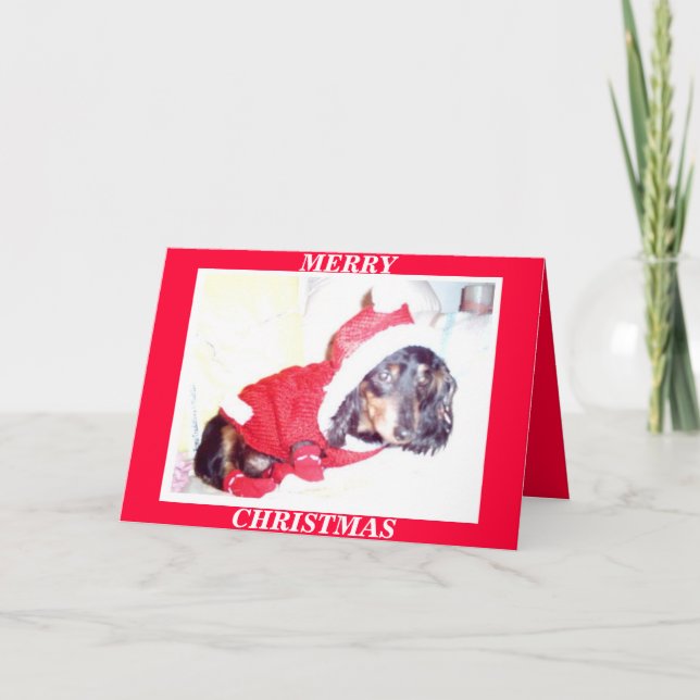 X MAS CHRISTMAS CARDS - HEIDI PUP - DASCHUND MINI (Front)