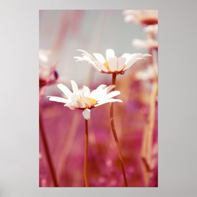 x-posed 03 poster (Front)