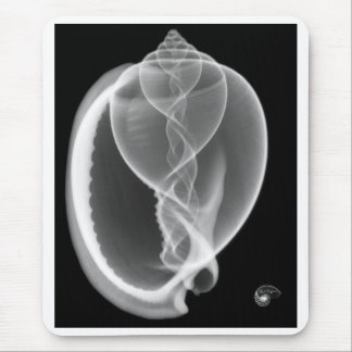 X-ray bonnet seashell mouse mat