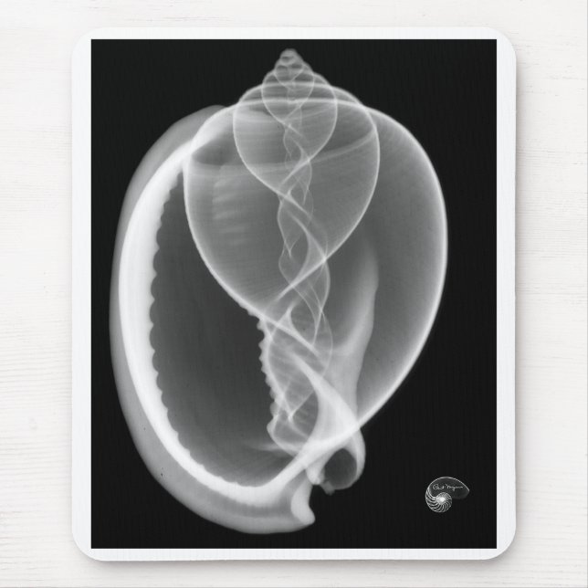 X-ray bonnet seashell mouse mat (Front)