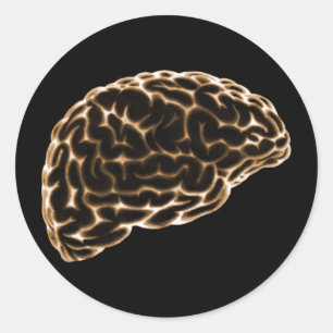 X-RAY BRAIN SIDE VIEW ORANGE CLASSIC ROUND STICKER