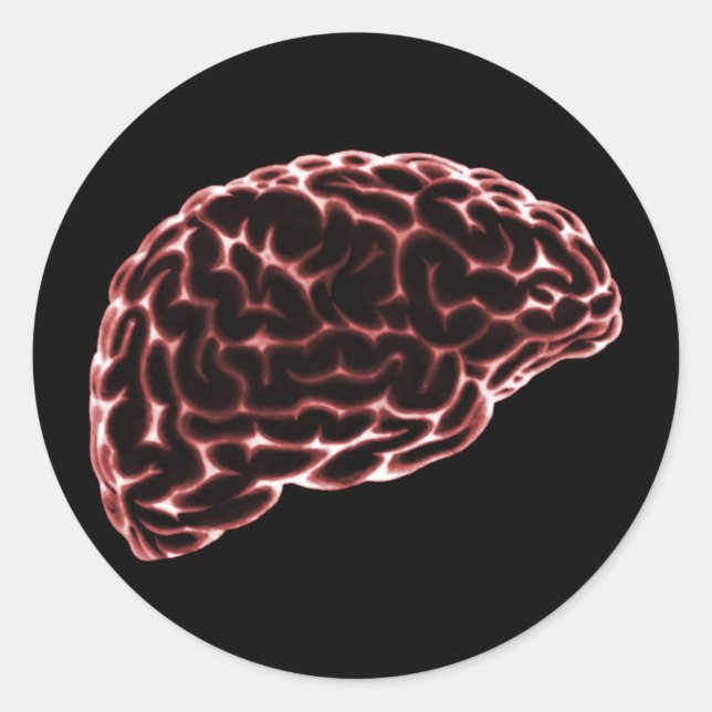 X-RAY BRAIN SIDE VIEW RED CLASSIC ROUND STICKER (Front)