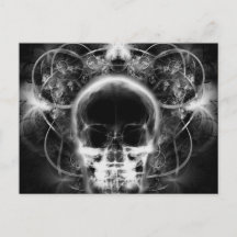  X-Ray Butterfly Fractal Skull - B&W