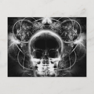  X-Ray Butterfly Fractal Skull - B&W Postcard