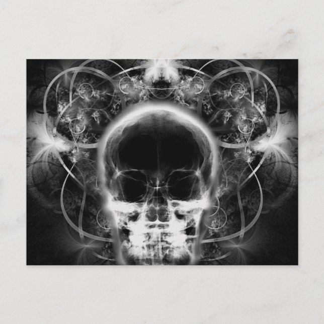  X-Ray Butterfly Fractal Skull - B&W Postcard (Front)