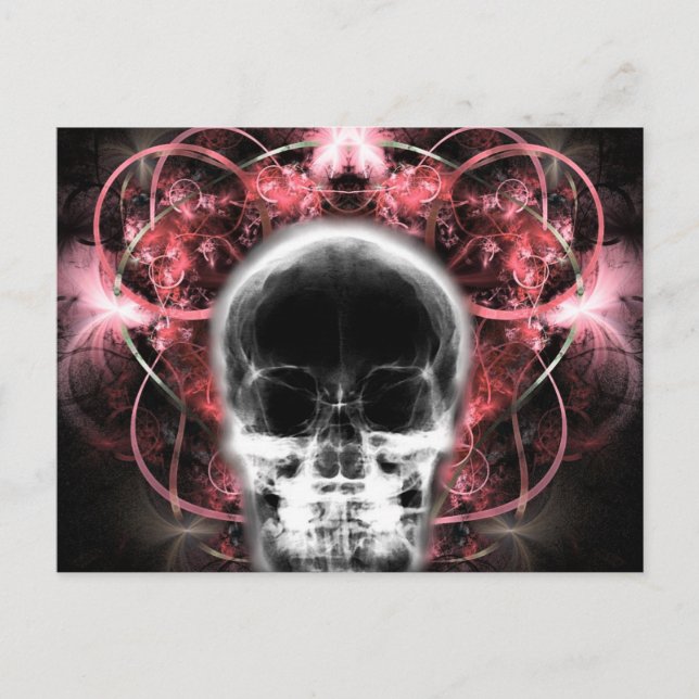  X-Ray Butterfly Fractal Skull - Red Postcard (Front)