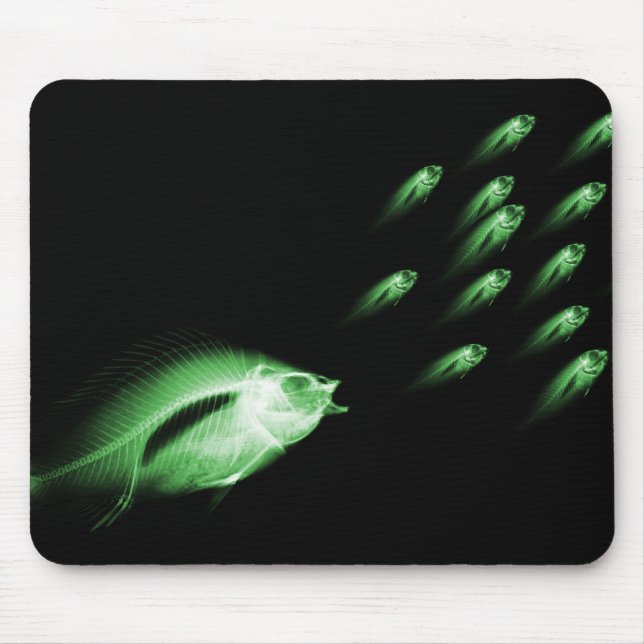 X-RAY FISH CHASE BLACK GREEN MOUSE MAT (Front)