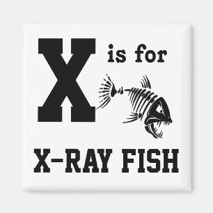 X-ray Fish Magnet