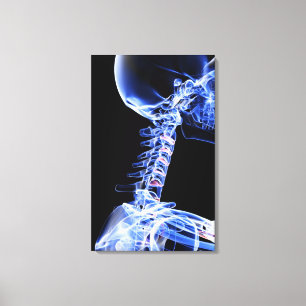 X-ray image of the bones of the neck canvas print