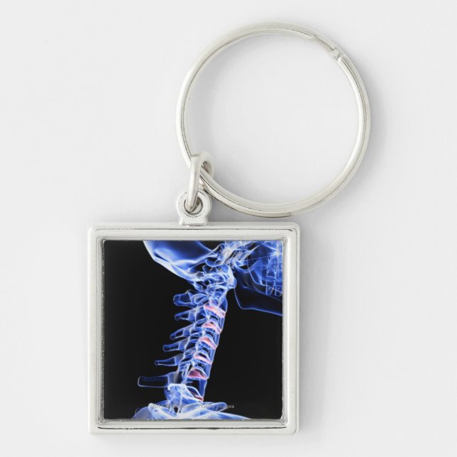 X-ray image of the bones of the neck key ring (Front)