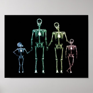 X-Ray My Family Poster