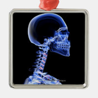 X-ray of the bones in the neck