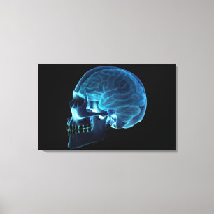 X-ray of the brain inside a skull canvas print