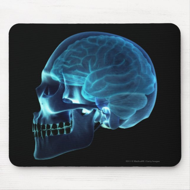 X-ray of the brain inside a skull mouse mat (Front)