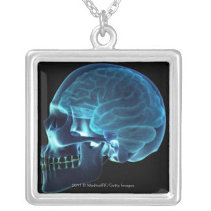 X-ray of the brain inside a skull silver plated necklace