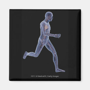X-ray of the vascular system in a running man magnet