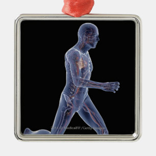 X-ray of the vascular system in a running man metal tree decoration