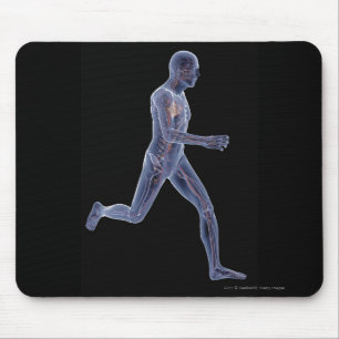 X-ray of the vascular system in a running man mouse mat