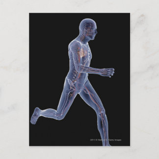 X-ray of the vascular system in a running man postcard
