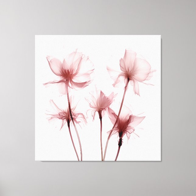 X-ray Pink Carnation Flowers Canvas Print (Front)