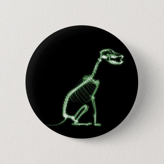 X-RAY PUPPY DOG SKELETON SITTING - GREEN 6 CM ROUND BADGE (Front)