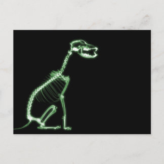 X-RAY PUPPY DOG SKELETON SITTING - GREEN POSTCARD