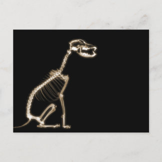 X-RAY PUPPY DOG SKELETON SITTING - SEPIA POSTCARD