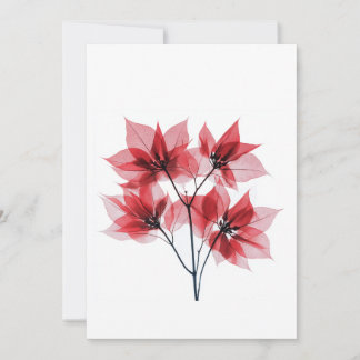 X-ray Red Poinsettia  Christmas  Holiday Card