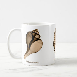 X-Ray Seashell Mug with Whelk, Sea Horse, and Fig