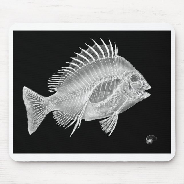 X-ray SHEEPHEAD neg sig Mouse Mat (Front)