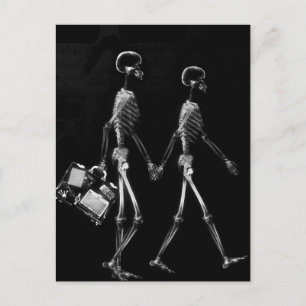 X-Ray Skeleton Couple Travelling Black White Postcard