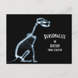 X-Ray Skeleton Dog - Blue Postcard