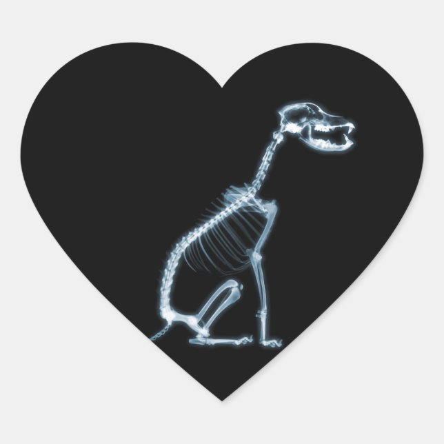 X-RAY SKELETON DOG SITTING - BLUE & BLACK HEART STICKER (Front)