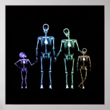 X-Ray Skeleton Family - Multicolor 3