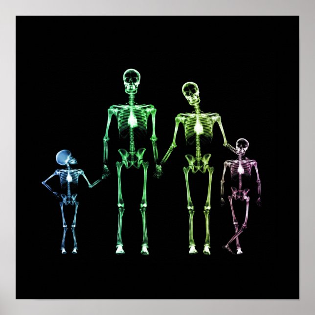 X-Ray Skeleton Family - Multicolor 5 Poster (Front)