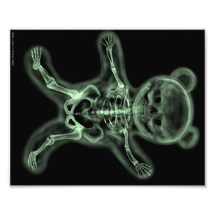 X-ray skeleton of a scare bear pop art poster