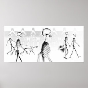 X-Ray Skeletons Afternoon Stroll Black & White Poster